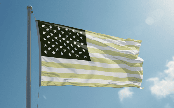 Cannabis laws and regulations by state